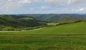 Tour Wandern Xonrupt-Longemer - retournemer hohnech schiesrothried blanchemer et lande  - Photo 17