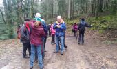 Tocht Stappen Masevaux-Niederbruck - randonnée CVG Seigneurie aller - Photo 2