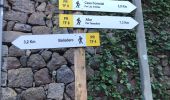 Tour Wandern Santa Cruz de Tenerife - 20230125 Tachero-Taganana-Casa Forestal  - Photo 16