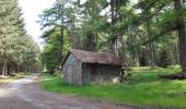Trail Walking Spa - spa gué des artistes. malchamps . ligne 44 . niveze - Photo 4