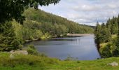 Randonnée Marche Orbey - Tour des 3 lacs (lac noir, blanc, Forlet) Vosges - Photo 4