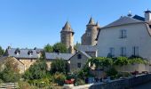 Randonnée V.T.T. Sévérac d'Aveyron - Fait GTMC 2022 E10 Montrodat - Photo 17