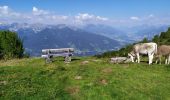 Trail Walking Gemeinde Patsch - Patscherko - Photo 4