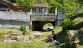 Percorso Cicloturismo Pont-de-Poitte - Pont de Poitte - Poncin - Photo 14