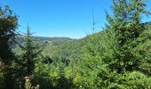 Tour Wandern Sylvanès - Sylva.es a modifier  - Photo 5