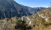 Trail Walking La Palud-sur-Verdon - Verdon - Sentier du Bastidon A/R (partiel) - Photo 1