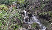 Randonnée Marche Le Grand-Bornand - Sentier de la Forêt  - Photo 2