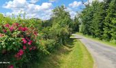 Trail Walking Jourgnac - jourgnac - Photo 4