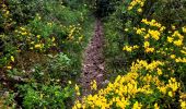Trail Walking Gorges du Tarn Causses - de St Enimie aux Vignes - Photo 5