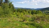 Tocht Elektrische fiets La Bresse - grouvelin - Photo 3