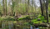 Tour Wandern Crazannes - crazannes, le château du chat botté et ses carrières  - Photo 12