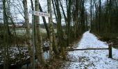 Excursión A pie Ammersbek - Rund um Wulfsdorf und Hoisbüttel - Photo 5