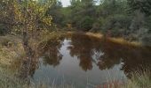 Tocht Stappen Corconne - Corconne vignes garrigue oliveraies  - Photo 7