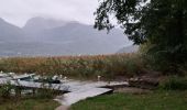 Trail Walking Saint-Jorioz - Sentier des roselières  - Photo 1