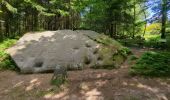 Trail Walking Dabo - Dabo - Col de la Schleif - Roskopf - Photo 17