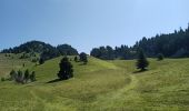 Tour Wandern Saint-Agnan-en-Vercors - jour 1 Sommet de Peyre rouge  - Photo 6