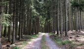 Tour Wandern Stablo - Stavelot et les crêtes de l’Amblève - Photo 11