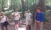 Trail Walking Houppeville - 20200811 Breteque - Photo 3