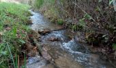 Tocht Stappen Les Eyzies - Sireuil 14,9km - Photo 5