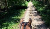 Trail Horseback riding Beaufort - Chez nous à chez Bertrand  - Photo 7