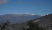 Trail Walking Motril - Cerro Gordo Motril  - Photo 3