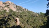 Excursión Senderismo Saint-Raphaël - Le drapeau - Photo 1