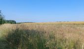 Trail Walking Namur - marche les dames  - Photo 1