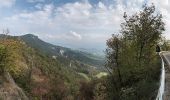 Tour Zu Fuß Carpineti - Valestra - Monte Valestra - Passo della Regina - Castello delle Carpinete - Photo 10