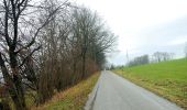 Trail On foot Mutlangen - Mutlangen Rundwanderweg 4b - Photo 10