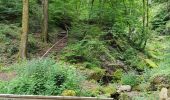 Trail Walking Berdorf - Mullerthal Balisage E1 - Photo 14