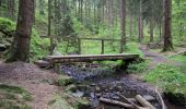 Tour Zu Fuß Horn-Bad Meinberg - Themenweg M 