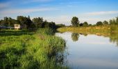 Percorso A piedi Sconosciuto - Ścieżka przyrodnicza im. prof. Władysława Szafera - Photo 9