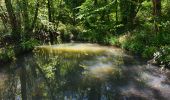 Randonnée Marche Montauroux - Esterets du Lac - Observatoire - Lac de St Cassien - Photo 4