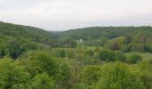 Tour Zu Fuß Thuin - Balade à Biesme-sous-Thuin - Photo 6