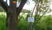 Tocht Stappen Chaumont-Gistoux - #210507 Dion-le-Mont, Pisselet et Louvranges - Photo 3