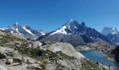 Excursión Senderismo Chamonix-Mont-Blanc - MASSIF DU MONT BLANC: INDEX-LAC BLANC-FLEGERE - Photo 8