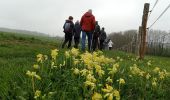 Tour Wandern Viffort - Viffort du 05-04-2022 - Photo 1