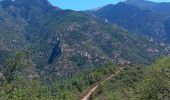 Tour Wandern Prades - codalet . coll de Clara . abbaye St Michel de Cuxa . canal bohère - Photo 20