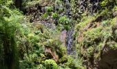 Tocht Stappen São Roque do Faial - Le chaudron vert  - Photo 9