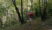 Trail Walking Courmes - bramafan cipieres - Photo 3