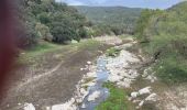 Tour Wandern Darnius - Lac Boadella vers centrale. - Photo 2