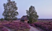 Tour Zu Fuß Schneverdingen - Nordic Walking 39M Niederhaverbeck - Photo 4