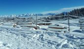 Tocht Sneeuwschoenen Lans-en-Vercors - Circuit les Aigaux / Charande - Photo 13