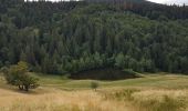 Tour Wandern Büssing - Source de la Moselle - Col de Bussang - Cuisine du Diable - Tête des Perches avec vue Lac des Perches - Photo 8