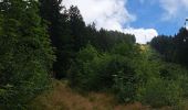 Trail Walking Theys - Col du Merdaret, Roche Noire au départ de Pipay  - Photo 15