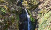 Trail Walking Vieux-Thann - Rando Marcheurs..27/03/2025.. - Photo 1