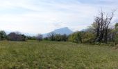 Tour Wandern Saint-Alban-Leysse - St-Alban-Curienne-2021-04-24 - Photo 2