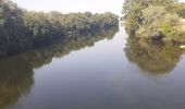 Trail Walking Chenonceaux - Chenonceaux - Photo 9