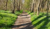 Trail Walking Avilly-Saint-Léonard - randonnée en forêt de chantilly - Photo 5