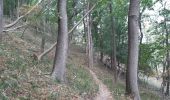 Trail Walking Aywaille - petite heure des gates - Photo 1